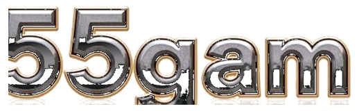 5555betgame logo